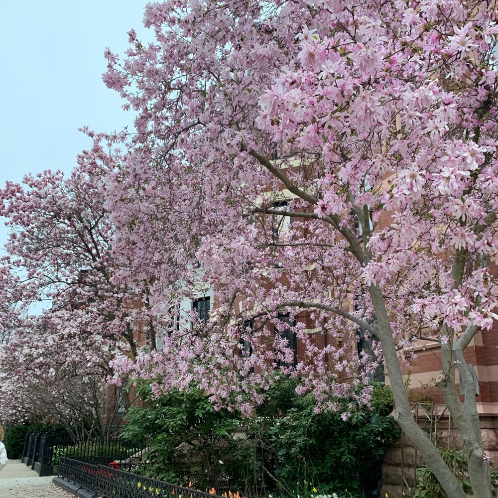 Meet your Posher, Zeynep